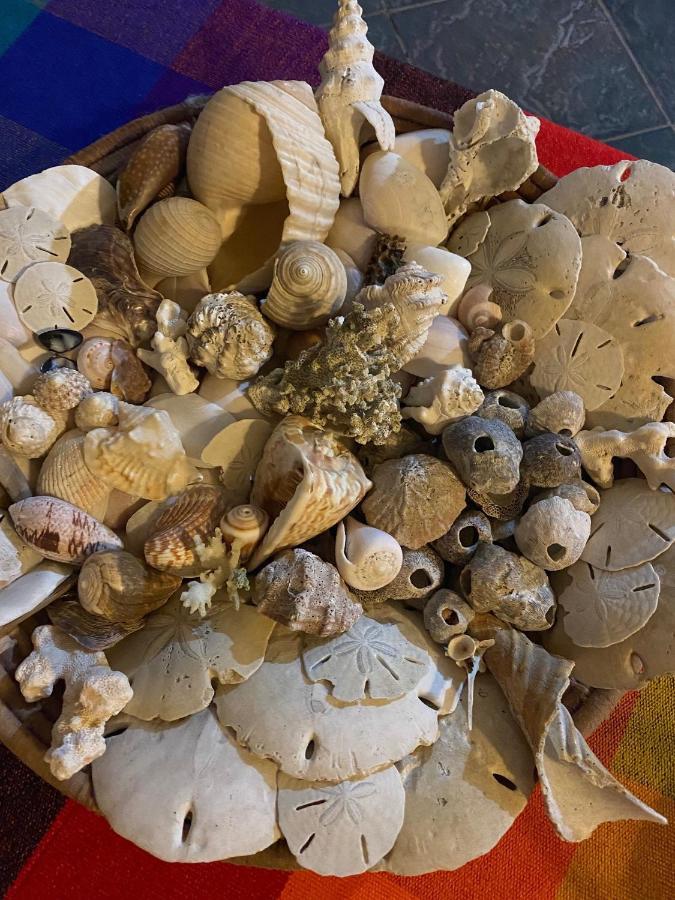Uverito Sand Dollar B&B Las Tablas Bagian luar foto